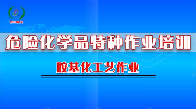 2025胺基化工艺（复审）